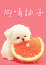 狗啃柚子小说免费阅读